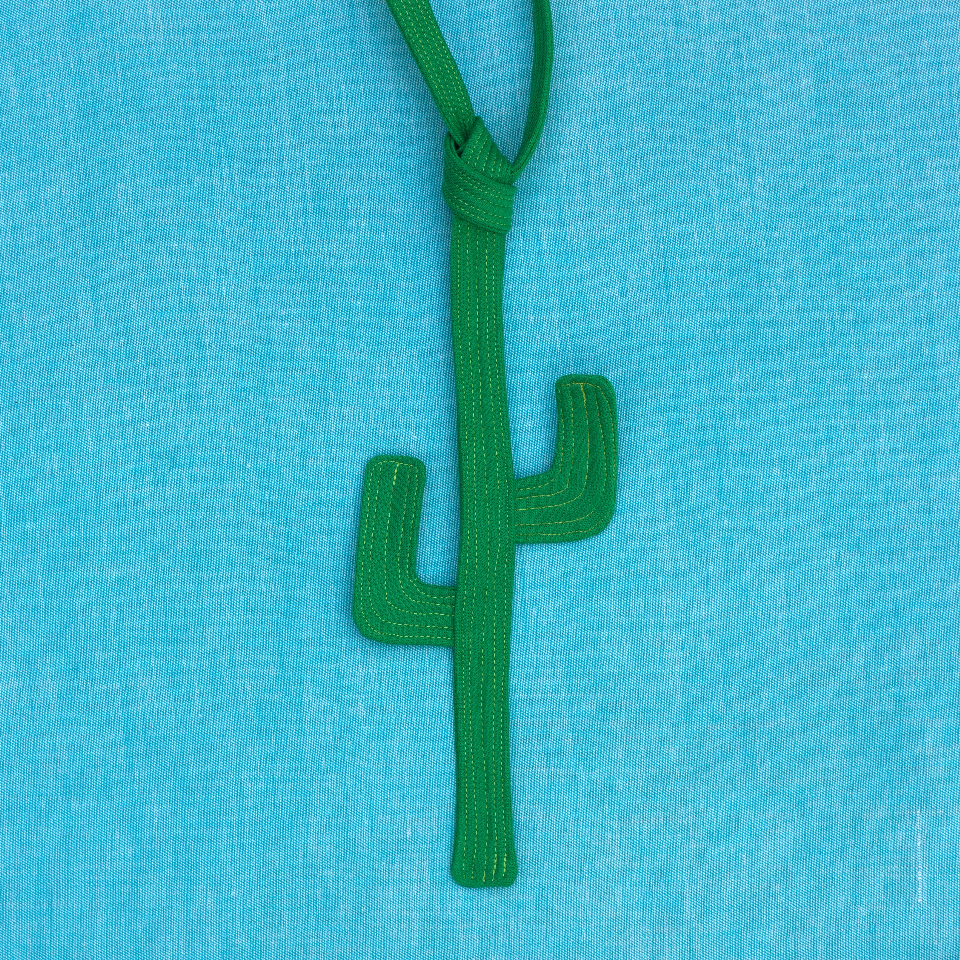 cactus tie!  March's rad tie of the month!