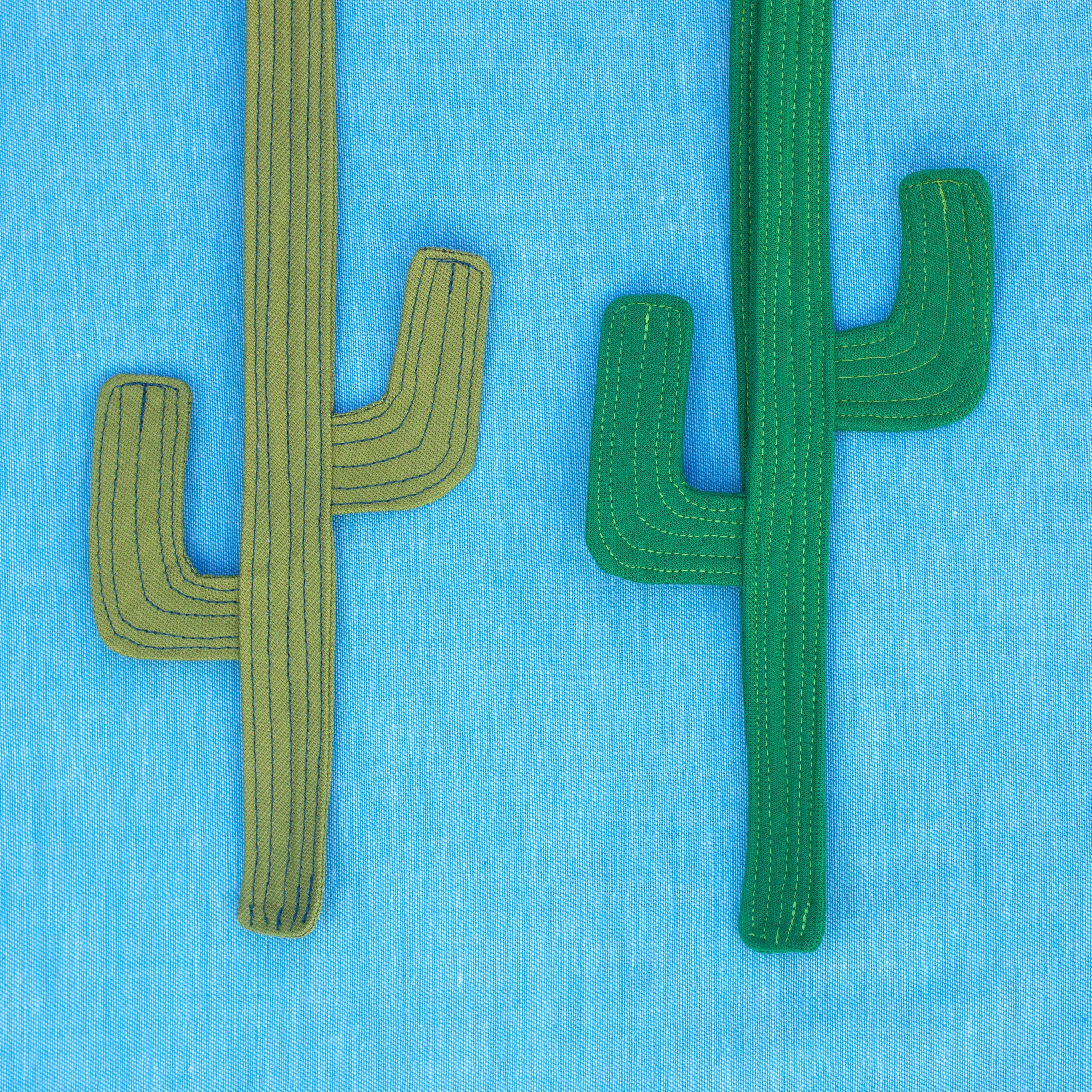 cactus tie!  March's rad tie of the month!