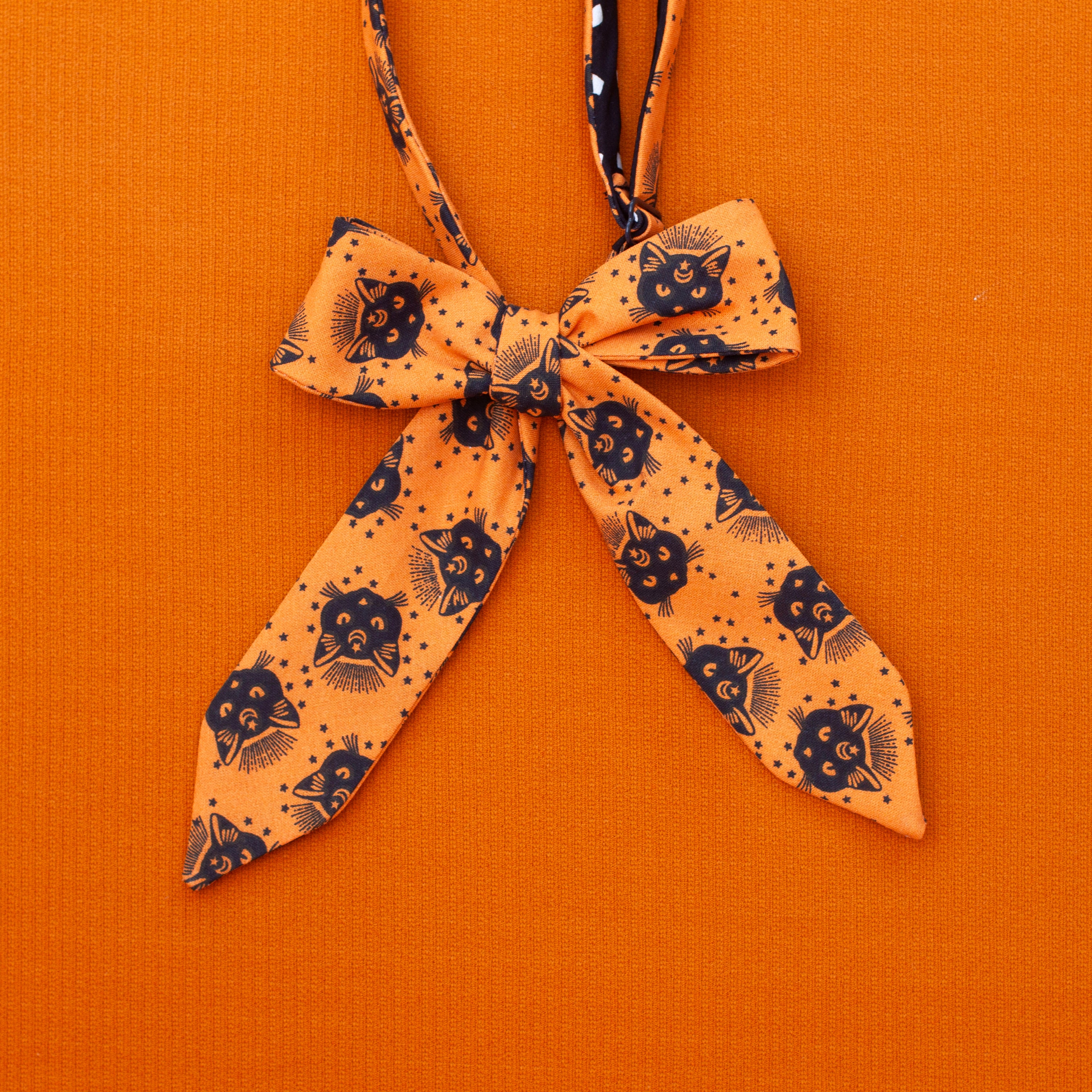 Black cat bow tie
