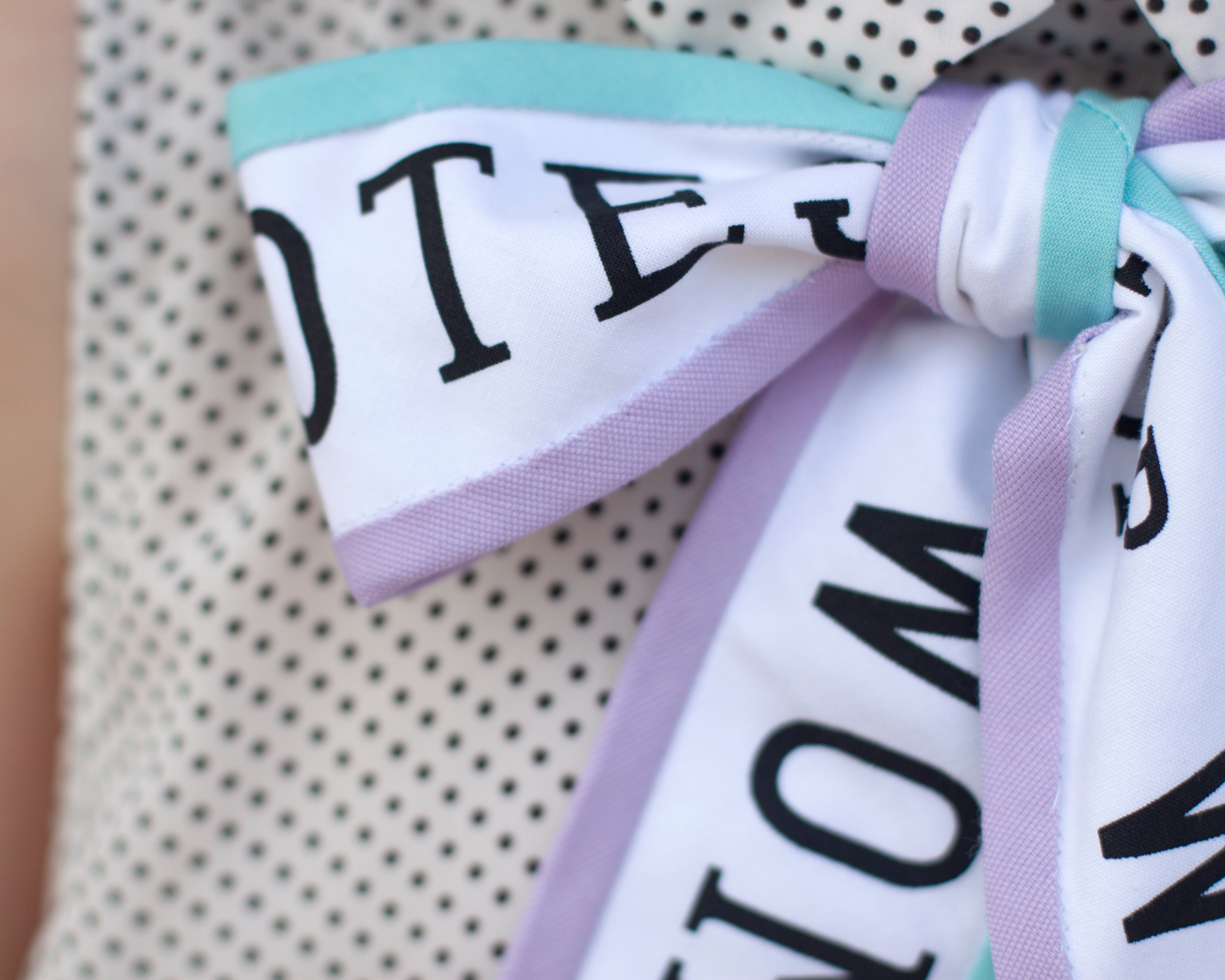 VOTES for WOMEN bow tie